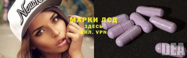 спиды Волоколамск