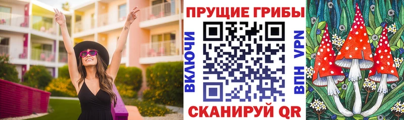 закладки  Ахтырский  Псилоцибиновые грибы мицелий 